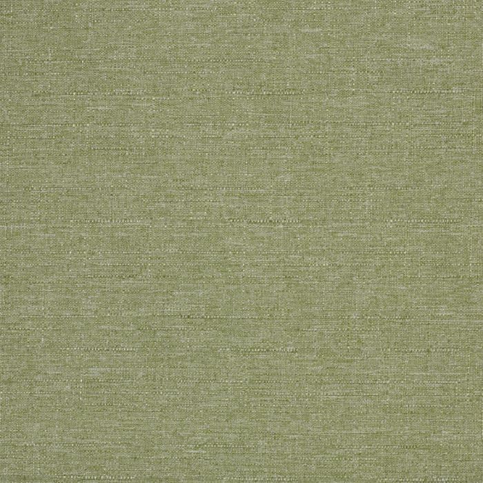 Edmund Bell Discovery Green Tea