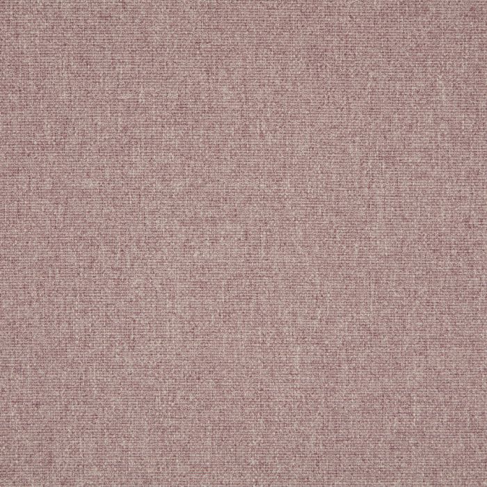 ILIV Tundra Elderberry