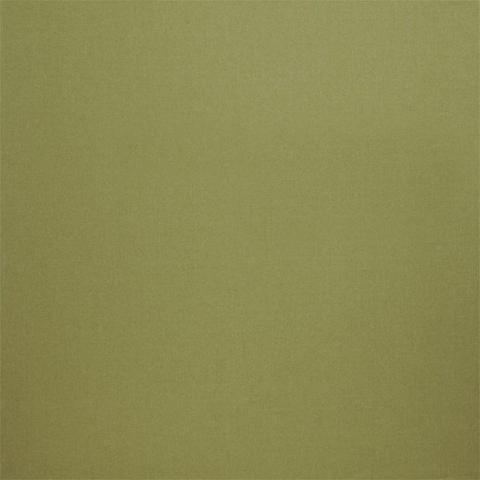 ILIV Tundra Pistachio