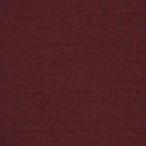 Edmund Bell Discovery Damson