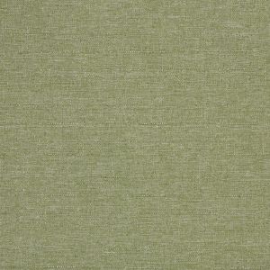 Edmund Bell Discovery Green Tea