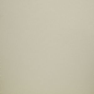 ILIV Tundra Almond