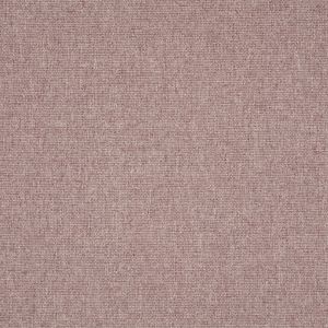 ILIV Tundra Elderberry