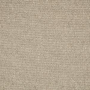 ILIV Tundra Latte