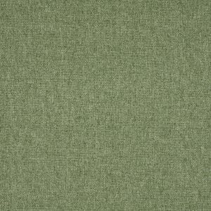 ILIV Tundra Meadow