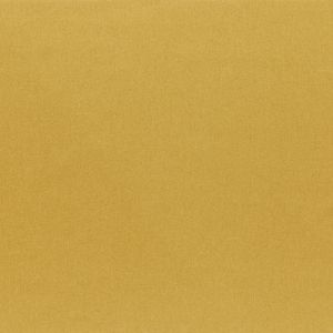 ILIV Tundra Ochre