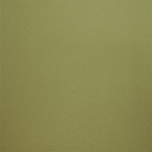 ILIV Tundra Pistachio