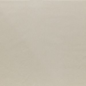ILIV Tundra Porcelain