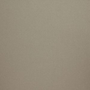 ILIV Tundra Taupe
