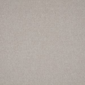 ILIV Tundra Zinc
